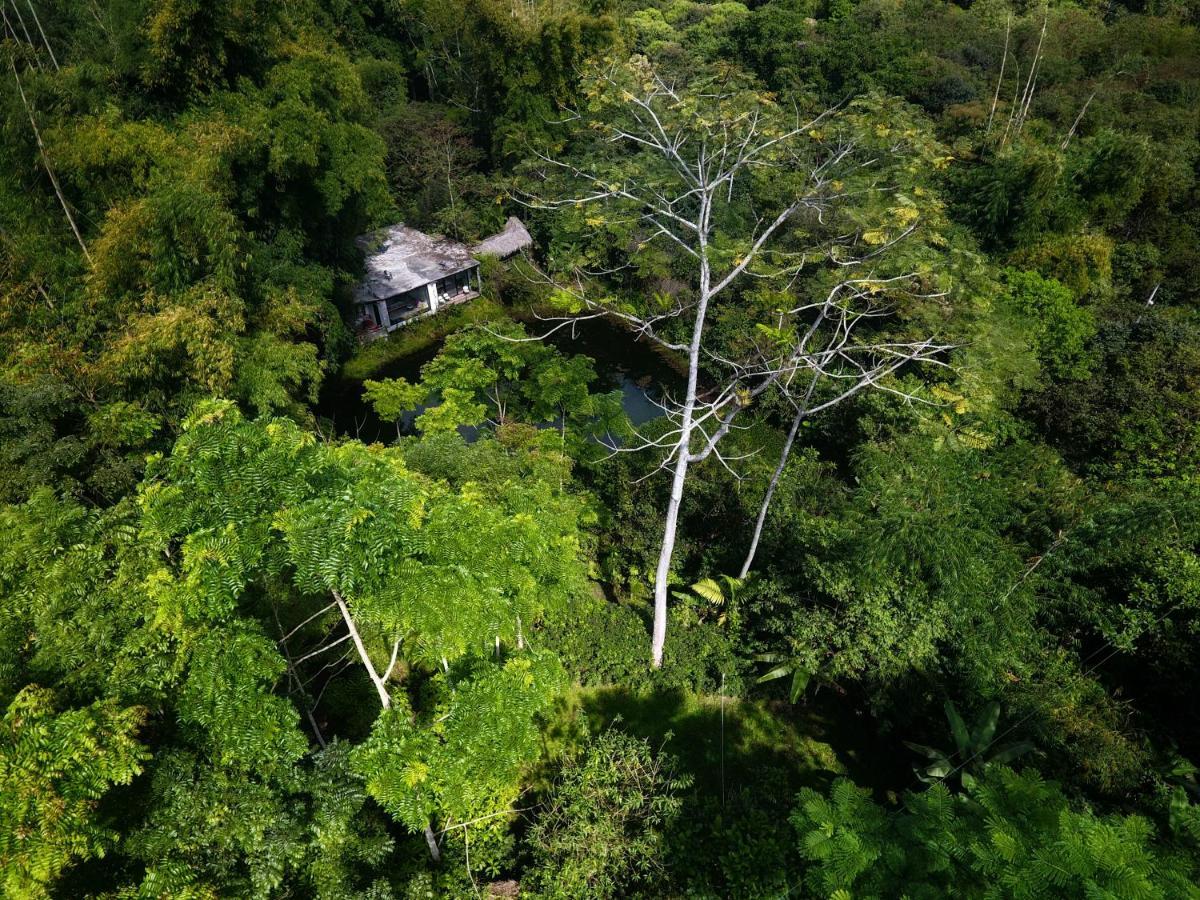 Cantalarana Lodge Mindo Kültér fotó