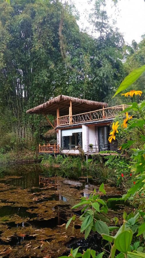 Cantalarana Lodge Mindo Kültér fotó